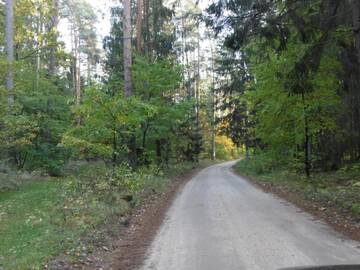 Фото номера Дом с 2 спальнями Дома для отпуска Dom na skraju lasu г. Płaska 17