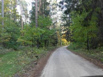 Фото номера Дом с 2 спальнями Дома для отпуска Dom na skraju lasu г. Płaska 36